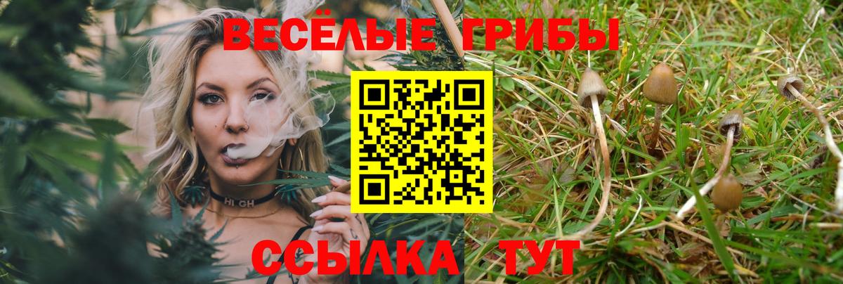 Псилоцибиновые грибы ЛСД Майский